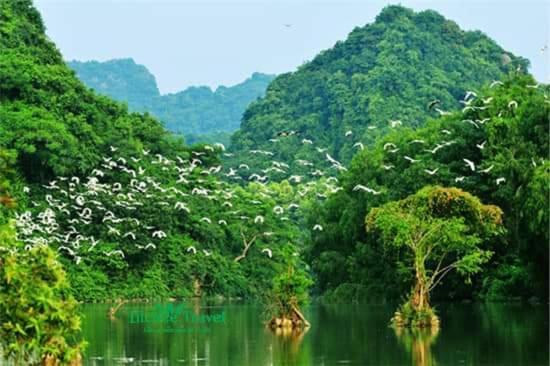 Nhà nghỉ Bolero bình dân Van Lam Ngoại thất bức ảnh